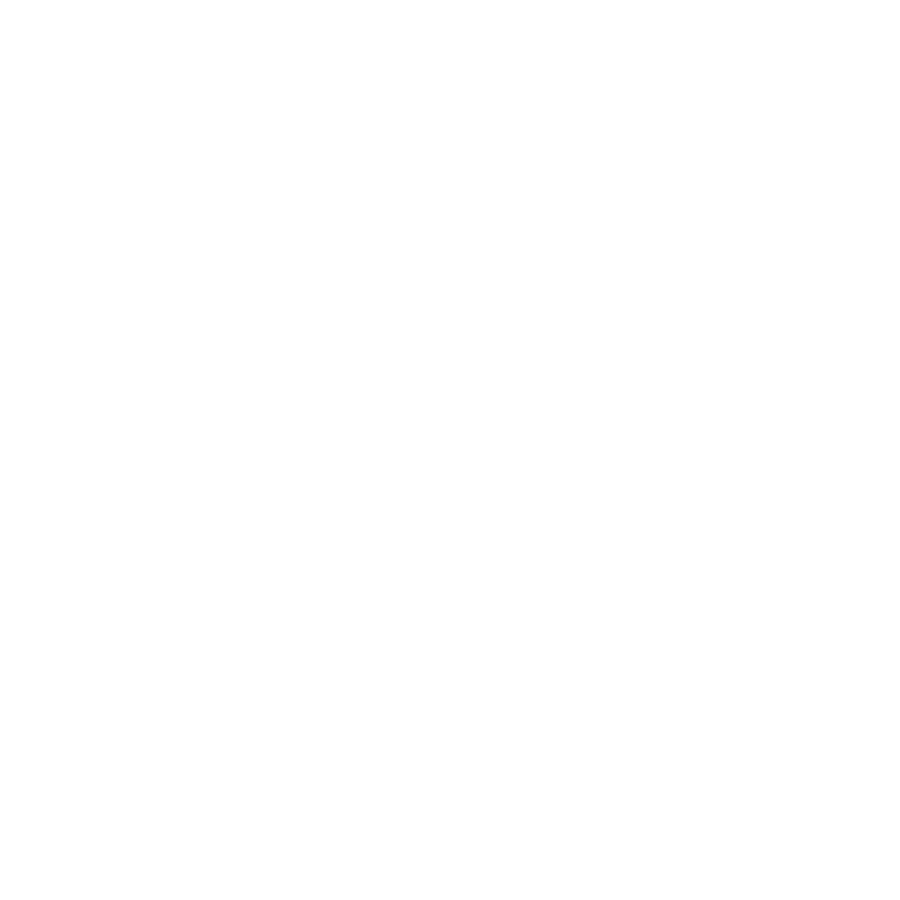 LOGO MAC